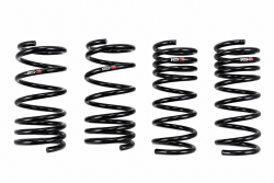 RS-R 17-21 BRZ/86 Down Sus Lowering Springs